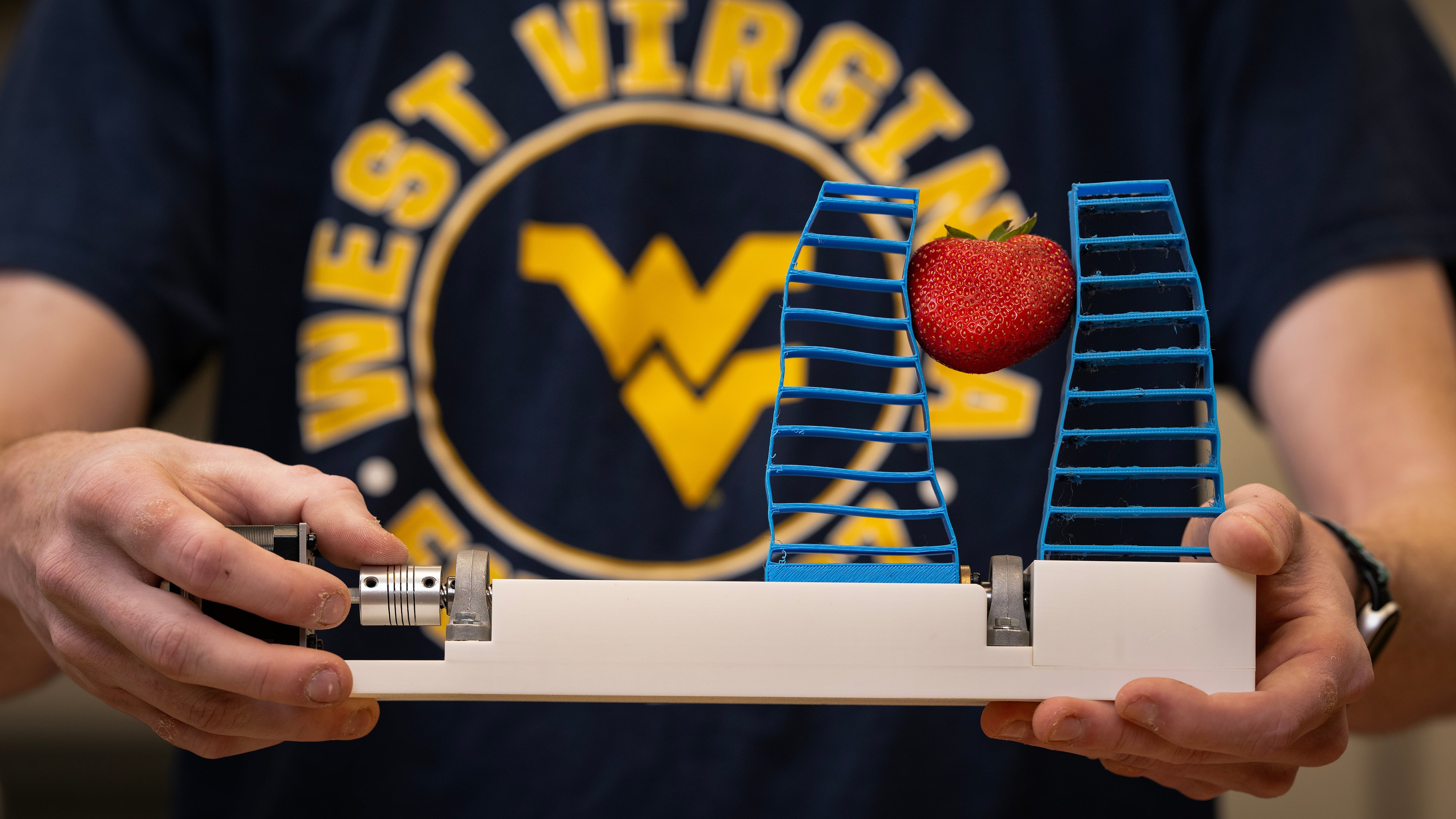 PU robot fingers get to grips with the fruit harvest
